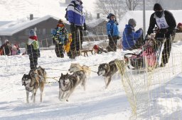Lenk 2012 SM